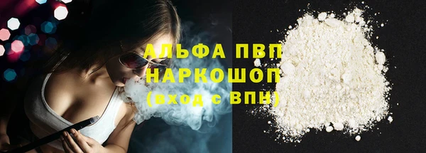 прущие грибы Гусь-Хрустальный