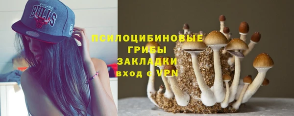 прущие грибы Гусь-Хрустальный