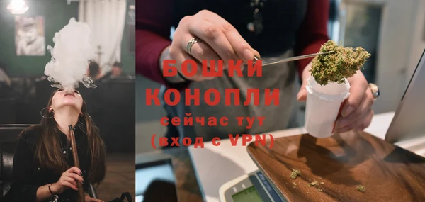прущие грибы Гусь-Хрустальный