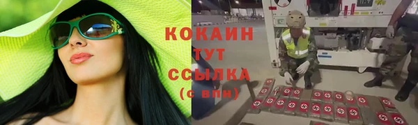 меф Гусев