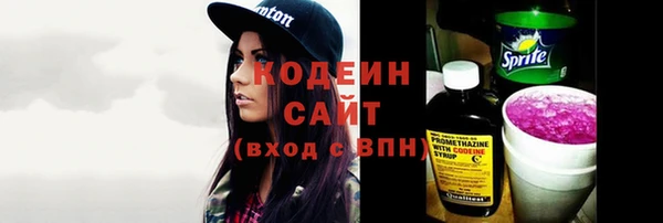 прущие грибы Гусь-Хрустальный