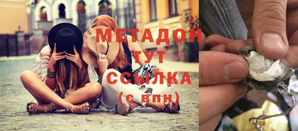 прущие грибы Гусь-Хрустальный