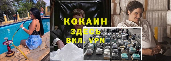 меф Гусев
